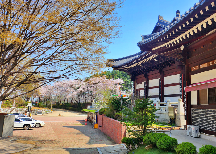 자연 친화적 환경