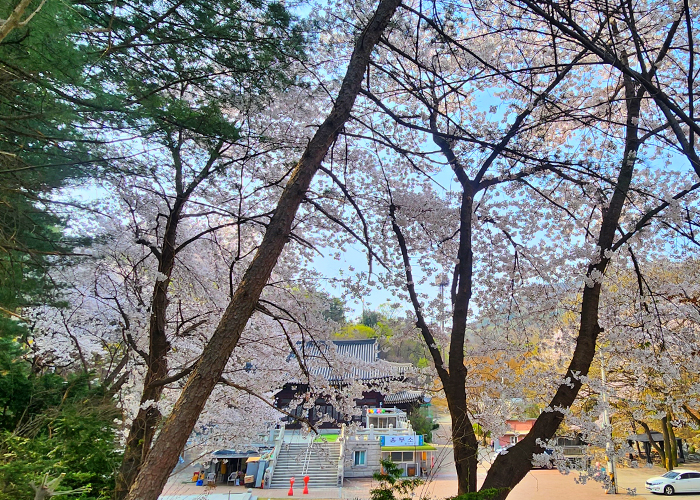 서울 도심에 위치