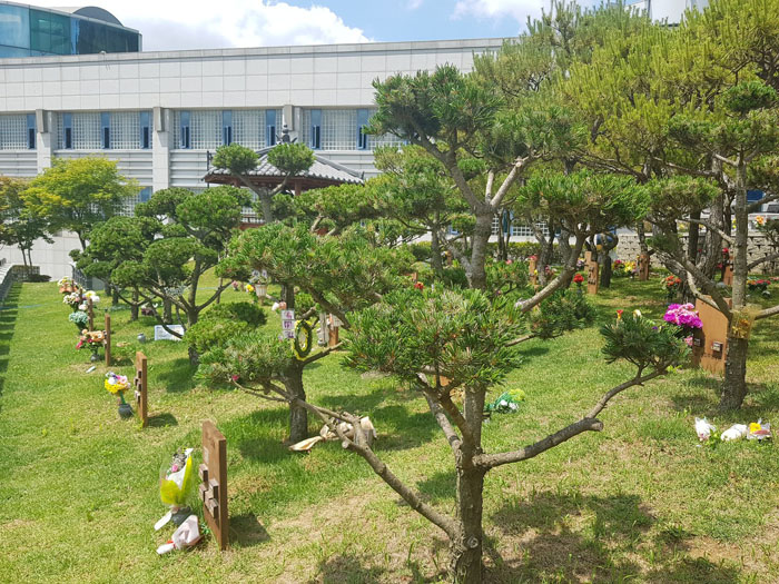 다운로드 (2).jpg