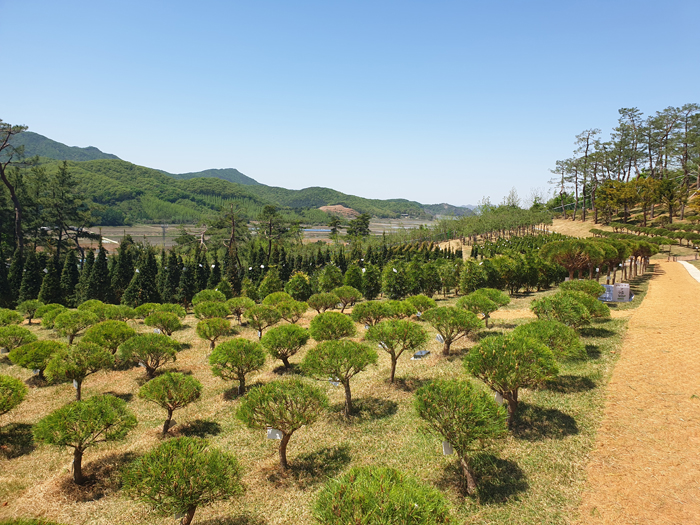 김포수목장 (19).jpg