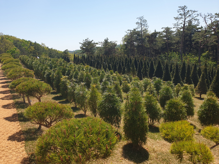 김포수목장 (13).jpg