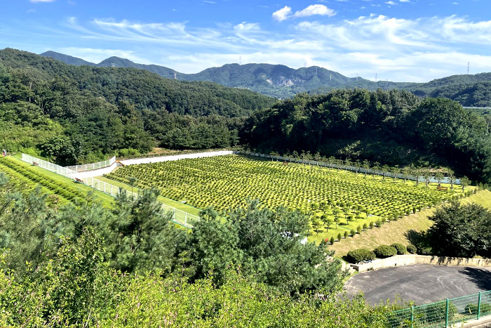 경기도광주수목장