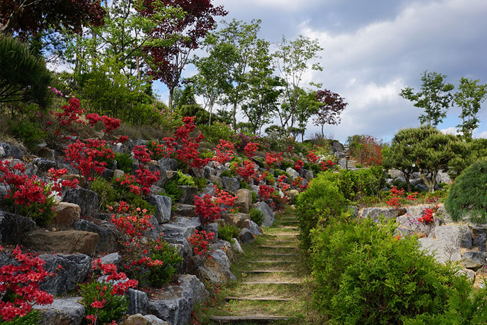 하늘수목장 (1).jpg