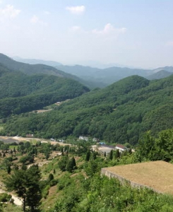 팔당납골묘 by 하늘동행