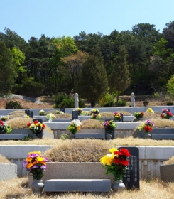 일산공원묘지 by 하늘동행