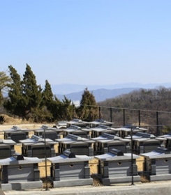 양주납골묘 by 하늘동행