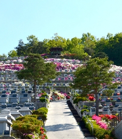 강화납골묘 by 하늘동행