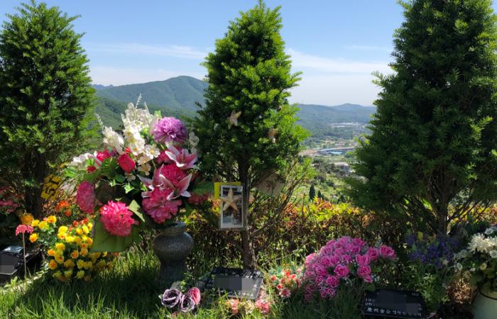 공원묘지 수목장