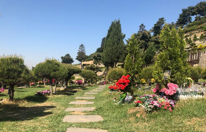 공원묘지 수목장