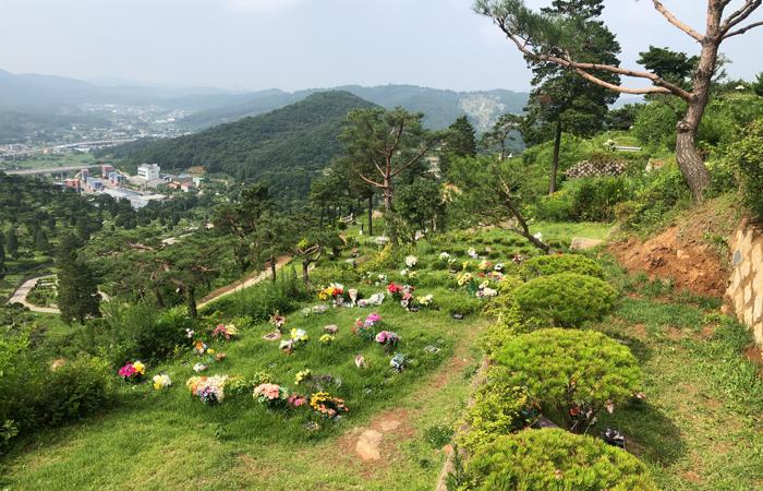 공원묘지 수목장