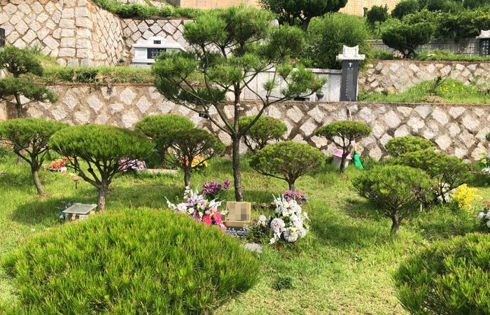 공원묘지 수목장