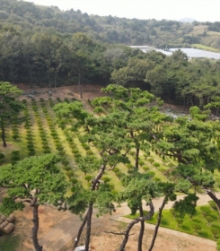 안산수목장 by 하늘동행