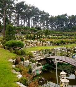 여주수목장 by 하늘동행