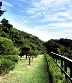 가평수목장 by 하늘동행