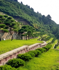 양수리수목장 by 하늘동행