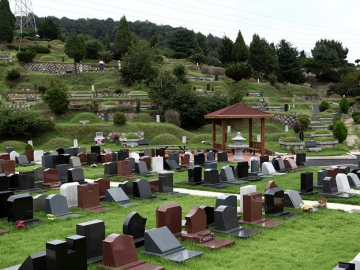 일산자연장 by 하늘동행