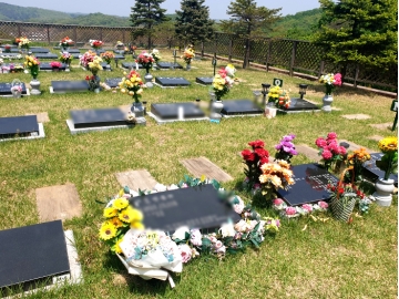 연천자연장 by 하늘동행