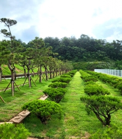 곤지암수목장 by 하늘동행