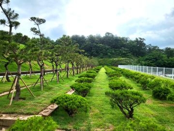 경기 광주수목장 by 하늘동행