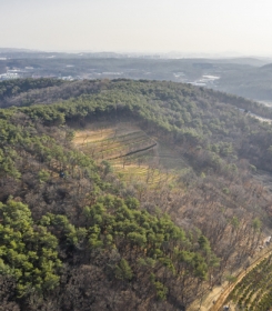 일산수목장 by 하늘동행