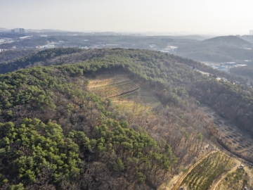 일산수목장 by 하늘동행