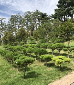 김포수목장 by 하늘동행