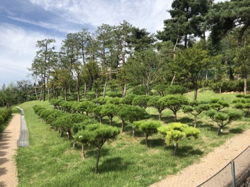 김포수목장 by 하늘동행