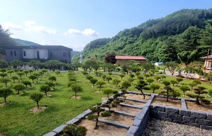 강원도 홍천수목장