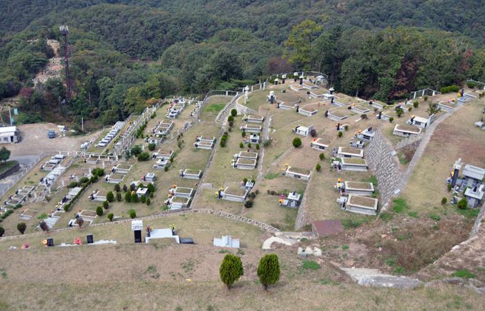 매장묘,단장묘,합장묘