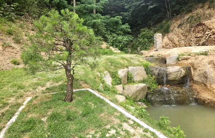 용인수목장