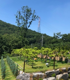 양주수목장 by 하늘동행