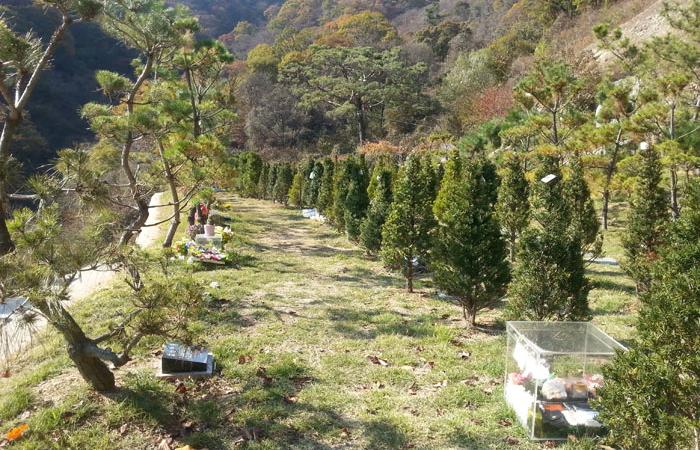 사찰수목장,자연장