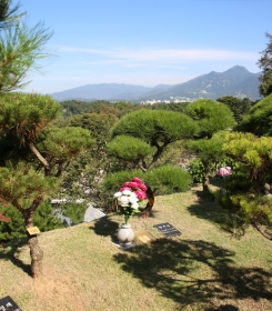 양평수목장 by 하늘동행