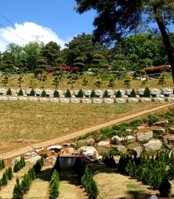 화성수목장 by 하늘동행