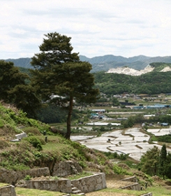 포천납골묘 by 하늘동행