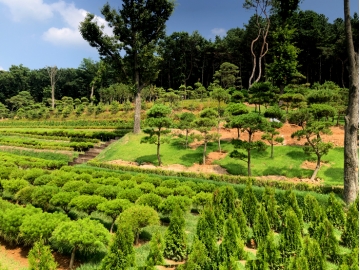 일산숲수목장 by 하늘동행