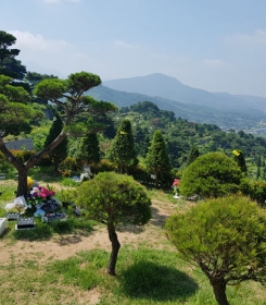 벽제수목장 by 하늘동행