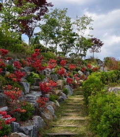 양주수목장지 by 하늘동행