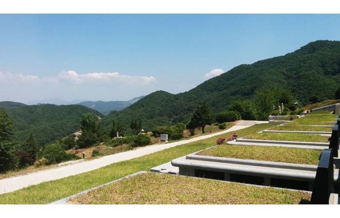 가족묘지,매장묘,묘지