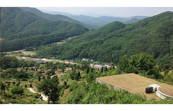 가족묘지,매장묘,묘지