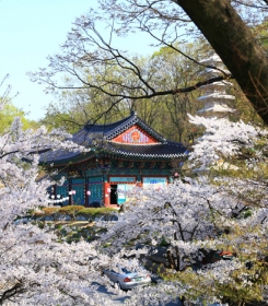 사당동납골당 by 하늘동행