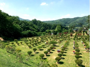 용인수목장 by 하늘동행