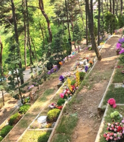 강화수목장지 by 하늘동행