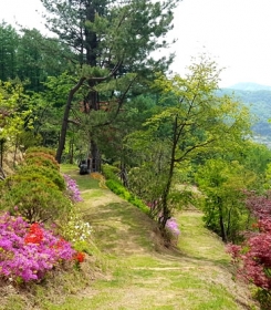 홍천수목장 by 하늘동행