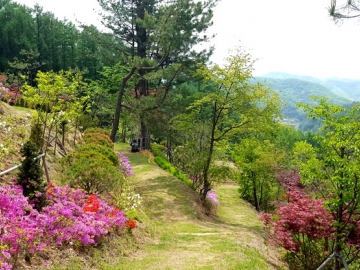 홍천수목장 by 하늘동행