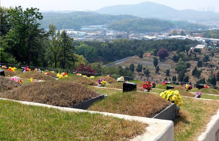 일산공원,매장묘,묘지