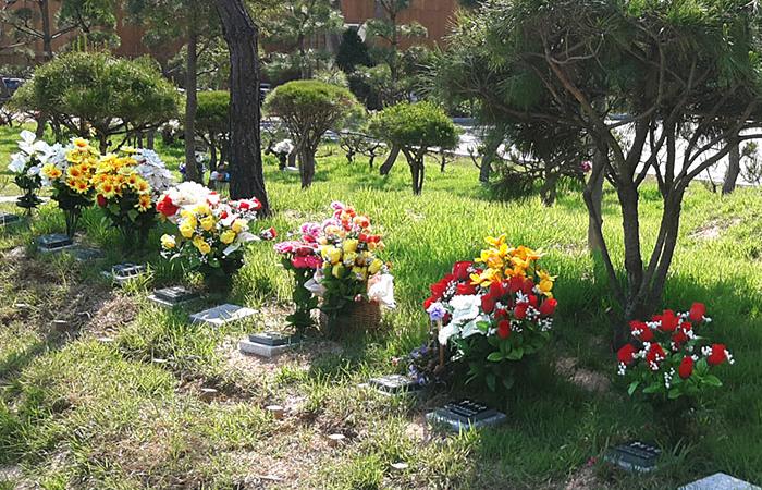 양평수목장,개인목,부부목