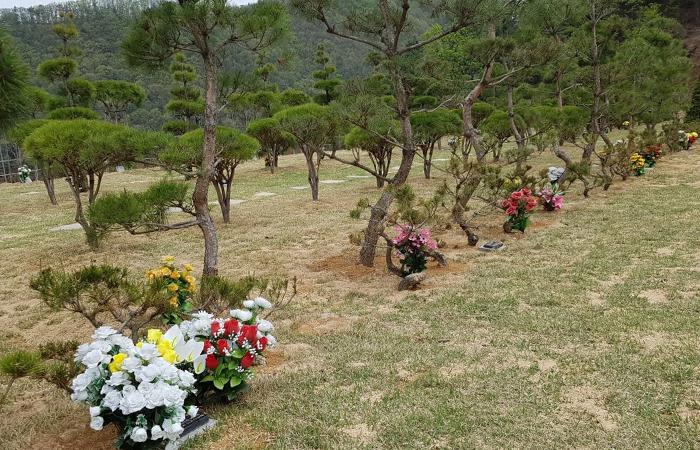 양평수목장,개인목,부부목