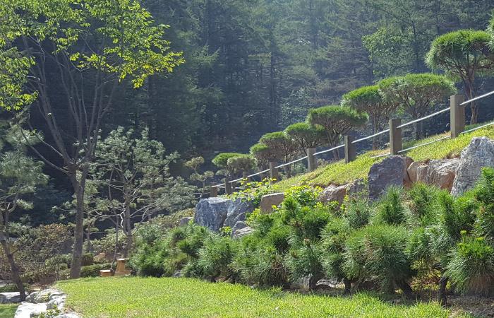 양평수목장,개인목,부부목