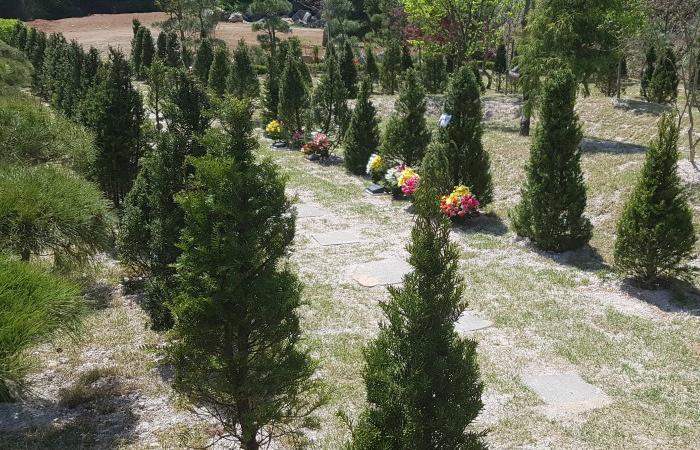 양평수목장,개인목,부부목